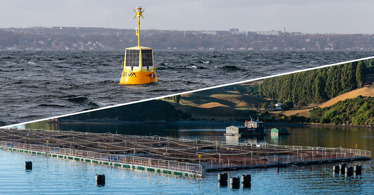 toughboy data collection buoy offshore sensor platform