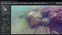 NaviSuite Mobula Pro + Processing (Blue Robotics) 